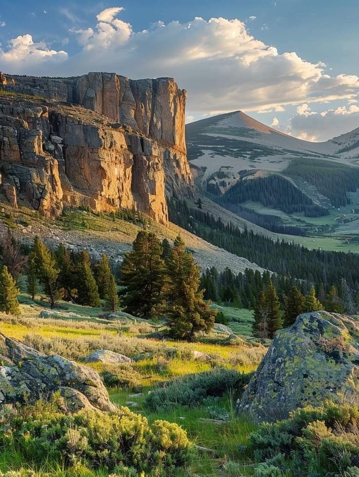 World View🌍🗽 tweet media