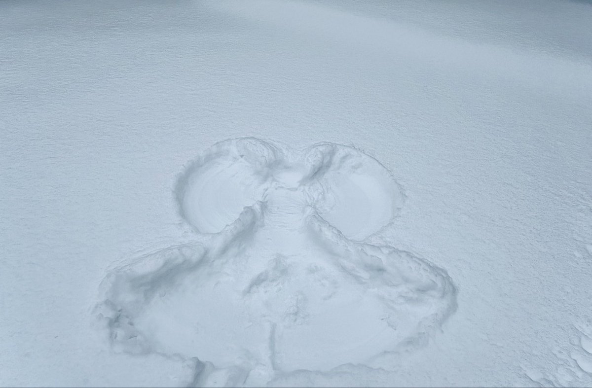 arcticus tweet media