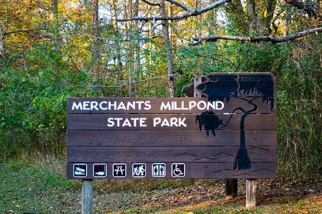 Buffalo Dan tweet media