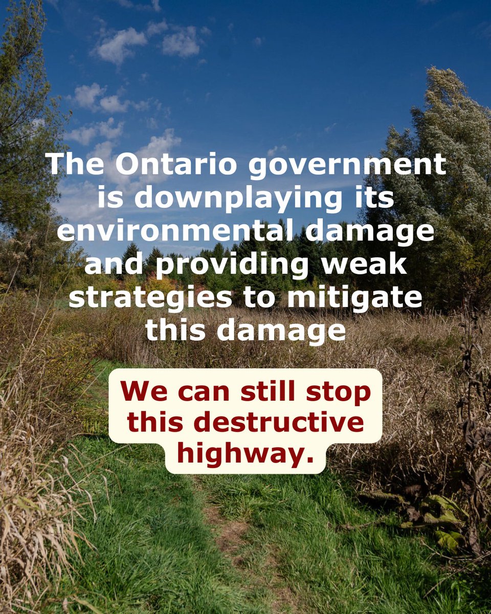 EnvironmentalDefence tweet media