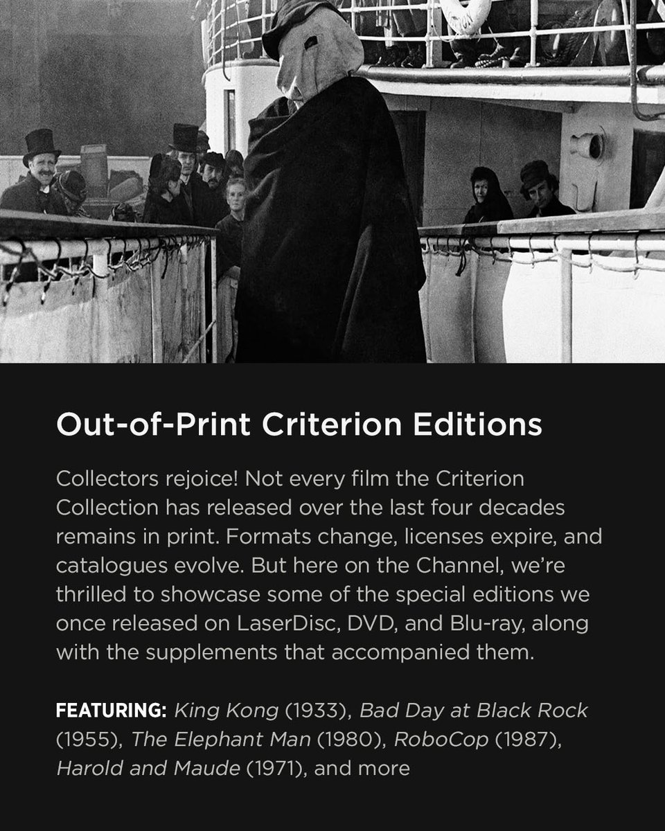 Criterion Collection tweet media