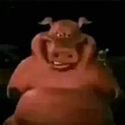 bonjour caposhit tweet media