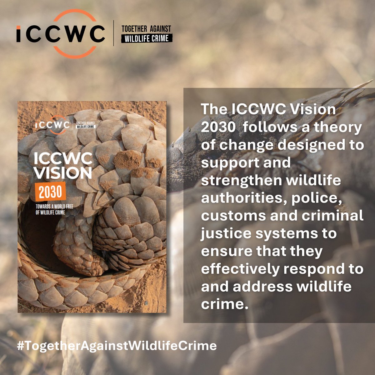 ICCWC tweet media