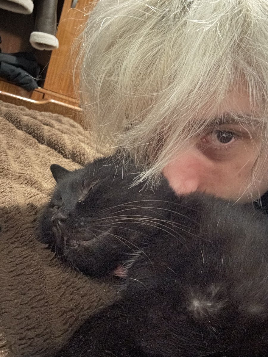 AroCentXpede's tweet photo. I don't like talking about personal stuff, especially this.
But last night my cat Echo passed away, he was a big part of my life and to lose him in the span of 2 days sucks, did everything i could.
In the end he passed away in my arms, safe and loved.
Love and miss you buddy. https://t.co/CseSFHLibb