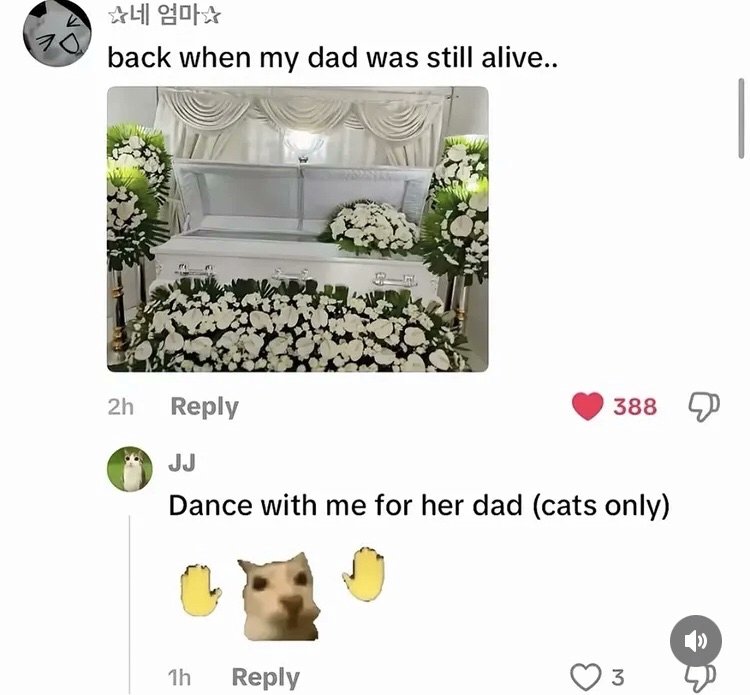 brainrot dimension tweet media