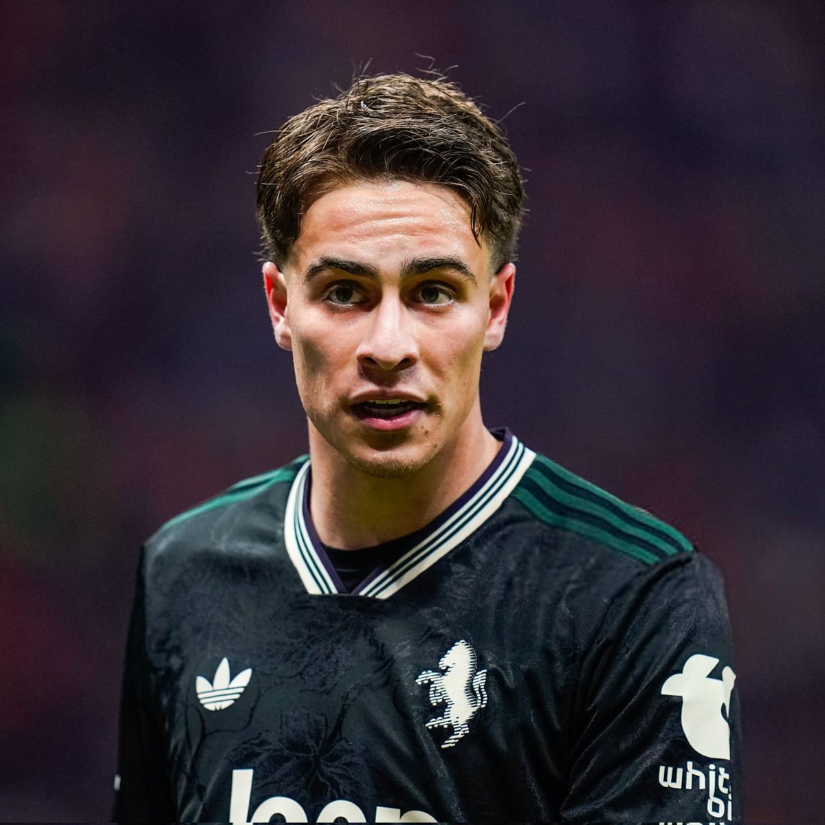 Mücahit tweet media