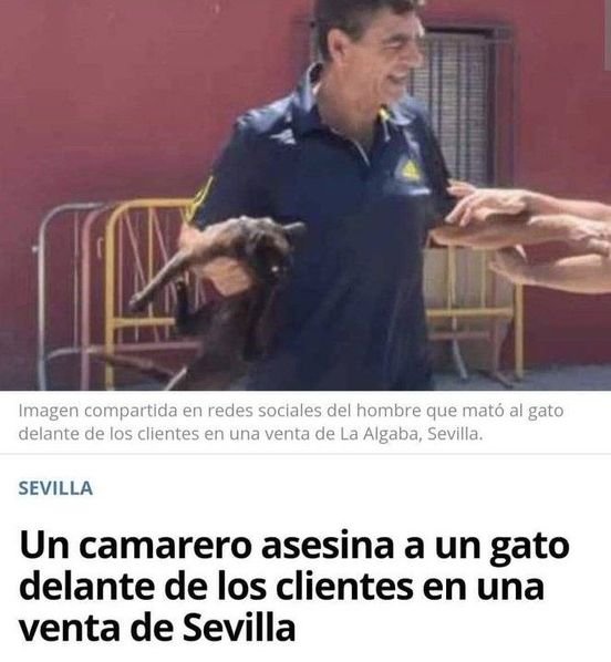 Urraca tweet media