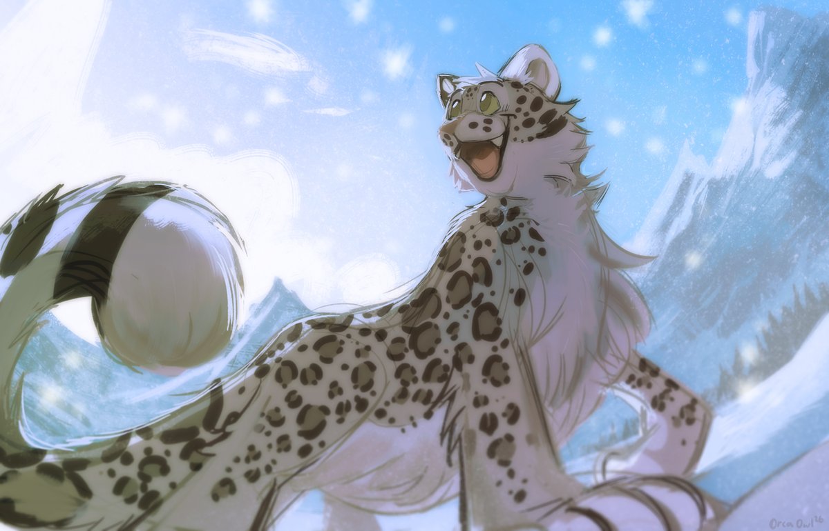 Orca Owl tweet media