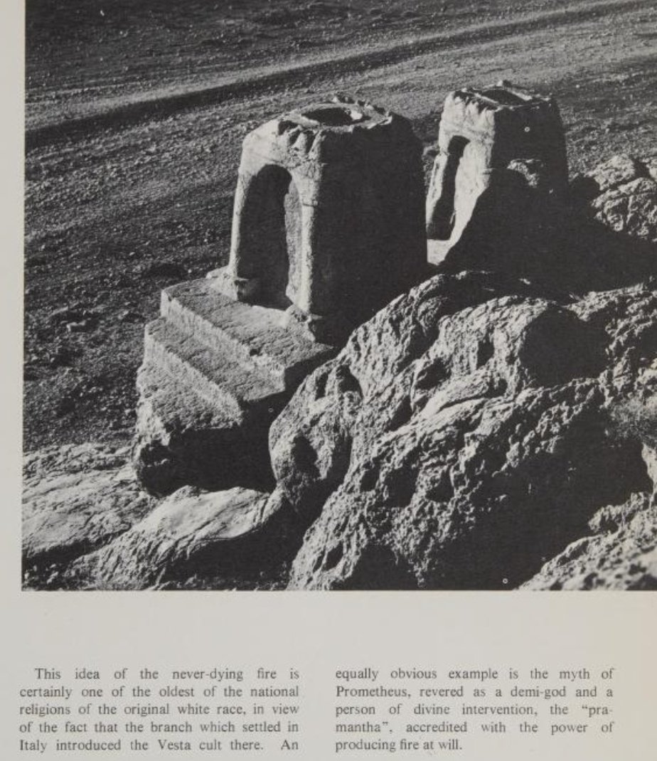 Selective Breeding and the Birth of Anime tweet media