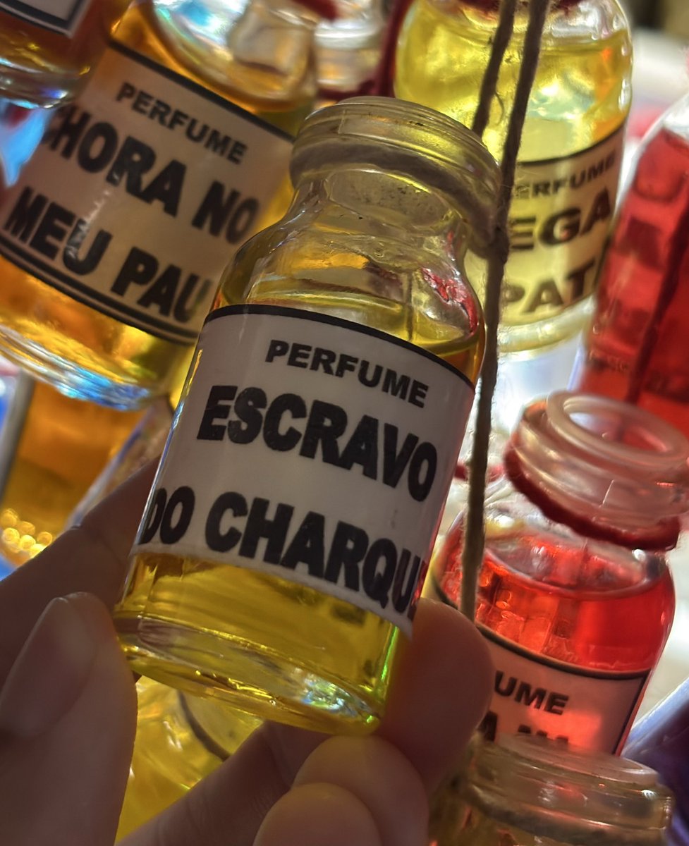 rafaverso tweet media