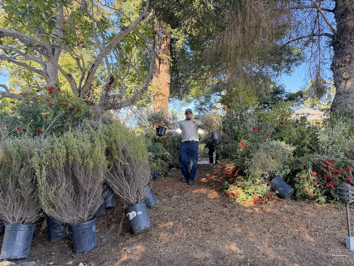 City of Monterey tweet media