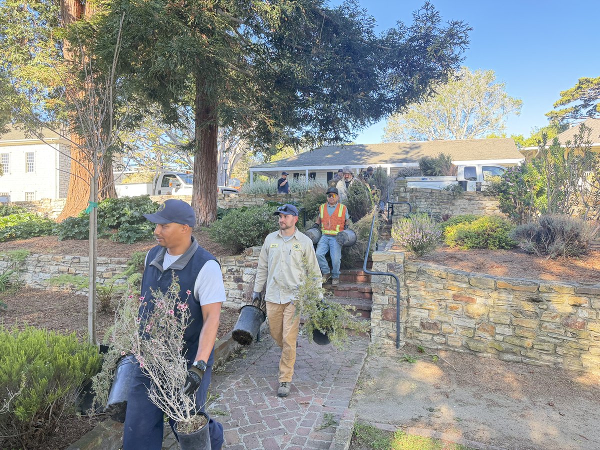 City of Monterey tweet media