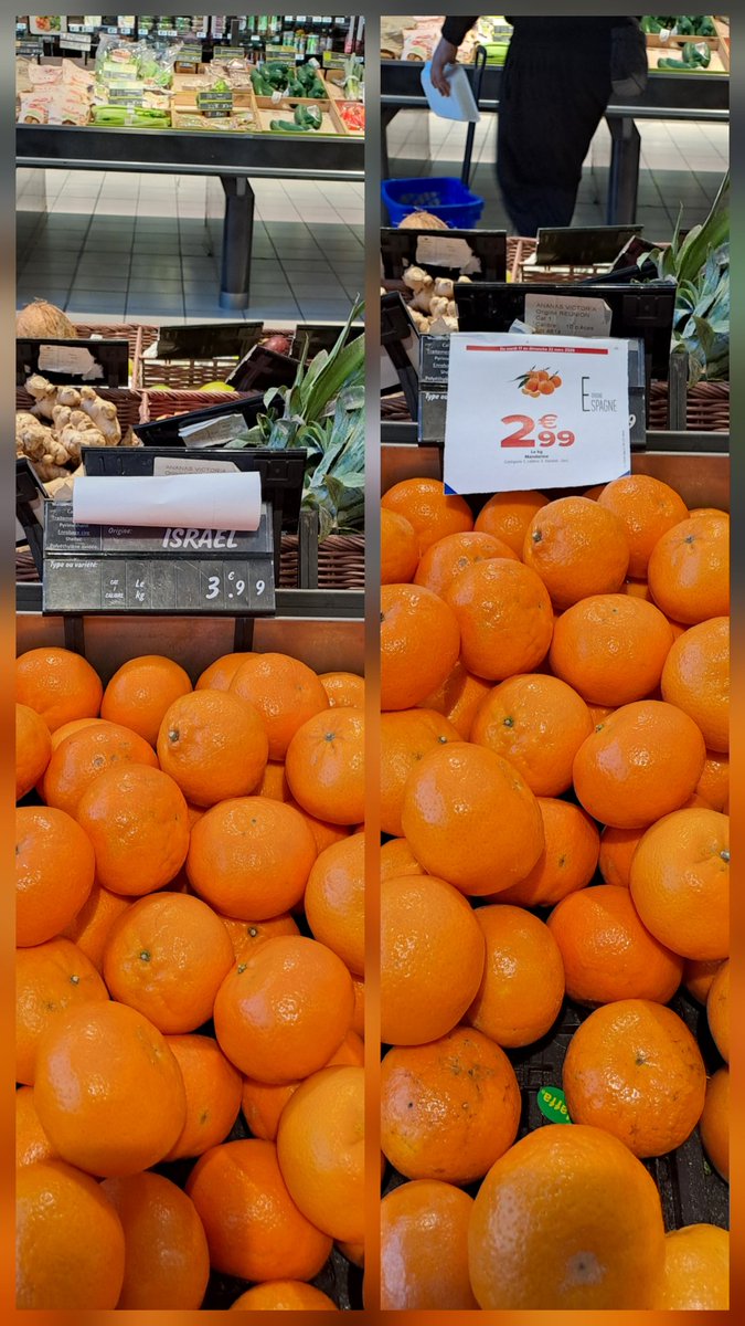 Fi, donc ! 🔻φ🐝🐢 ⏚🍉 tweet media