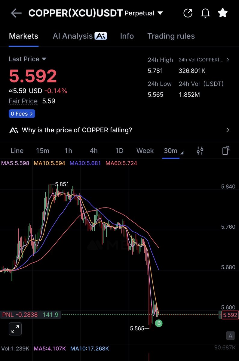 Elisa (optimism/acc) tweet media