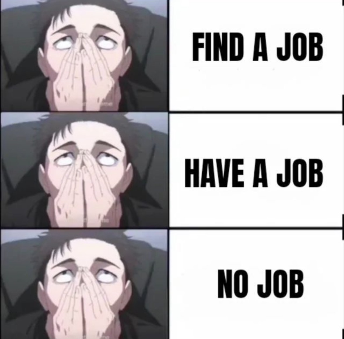 Respectful Memes tweet media