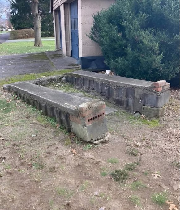 Connie 🇺🇸 tweet media