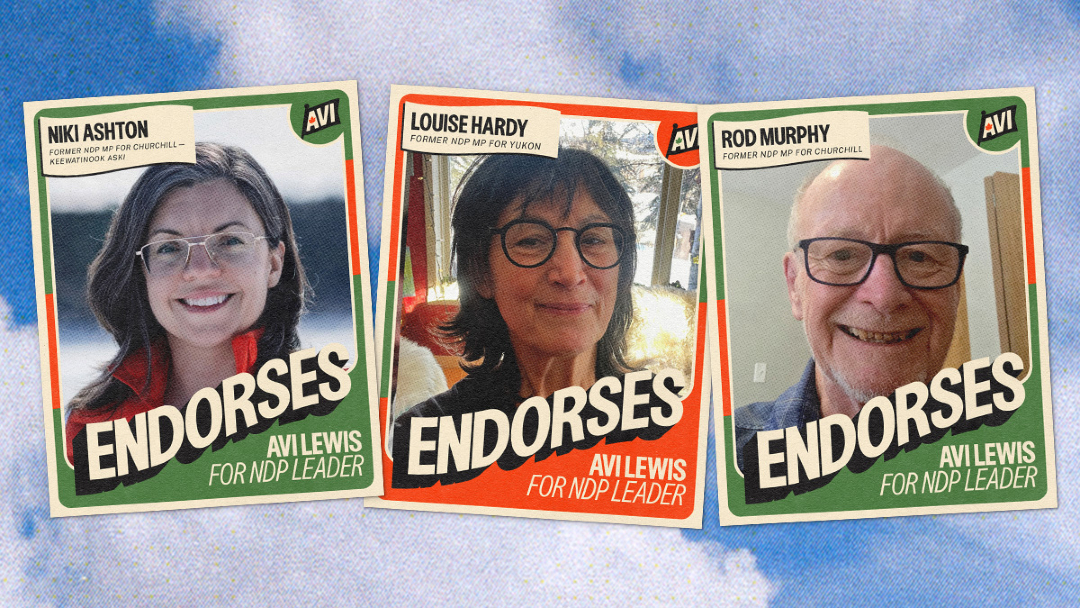 Avi Lewis tweet media