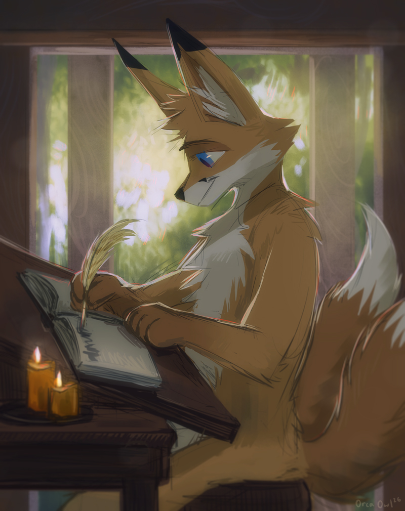 Orca Owl tweet media