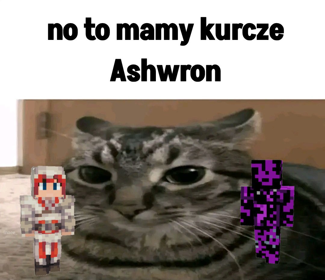 v / teri ー TRUST & DISTRUST CEO tweet media