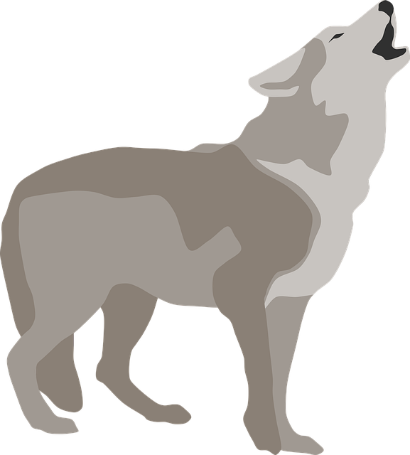 Brian Storm tweet media