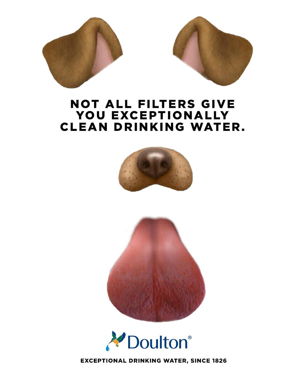 Max Dunlop tweet media