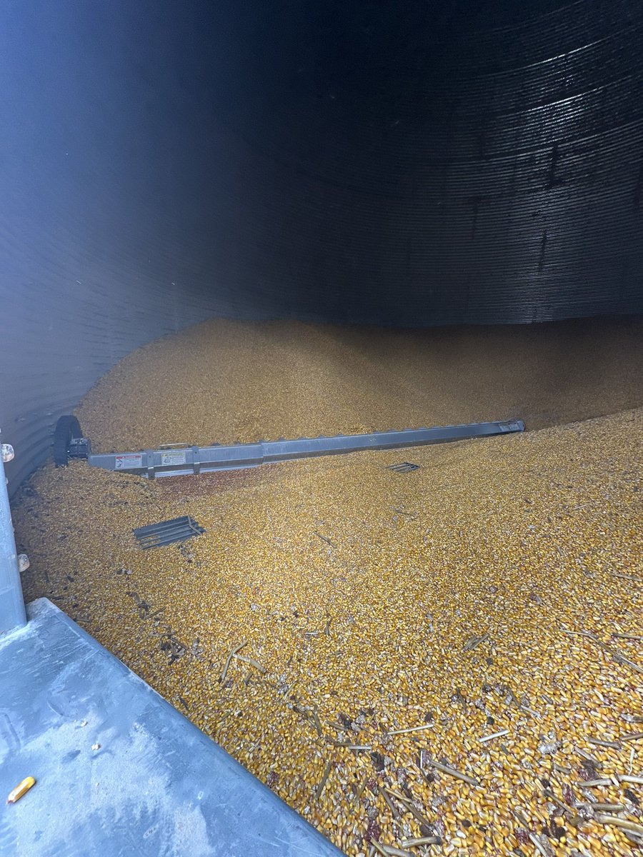 Bodie Kitchel tweet media