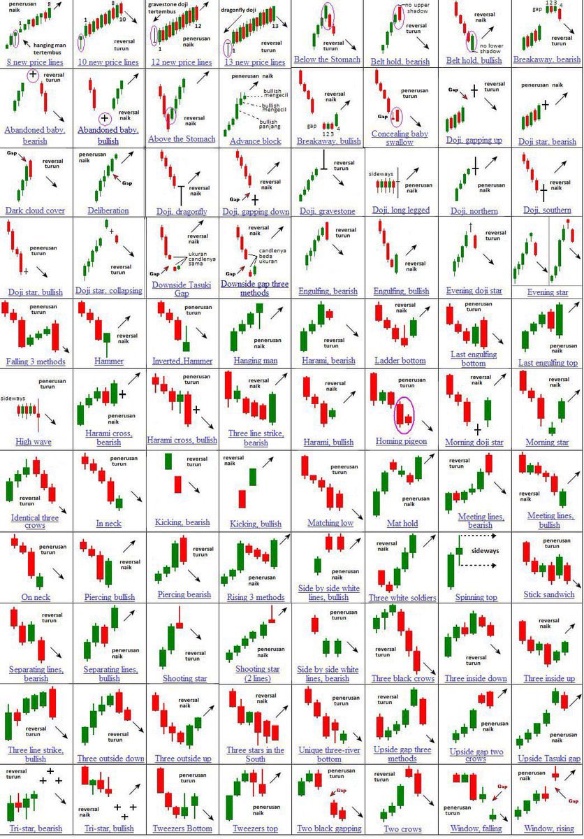 Şirin Baba tweet media