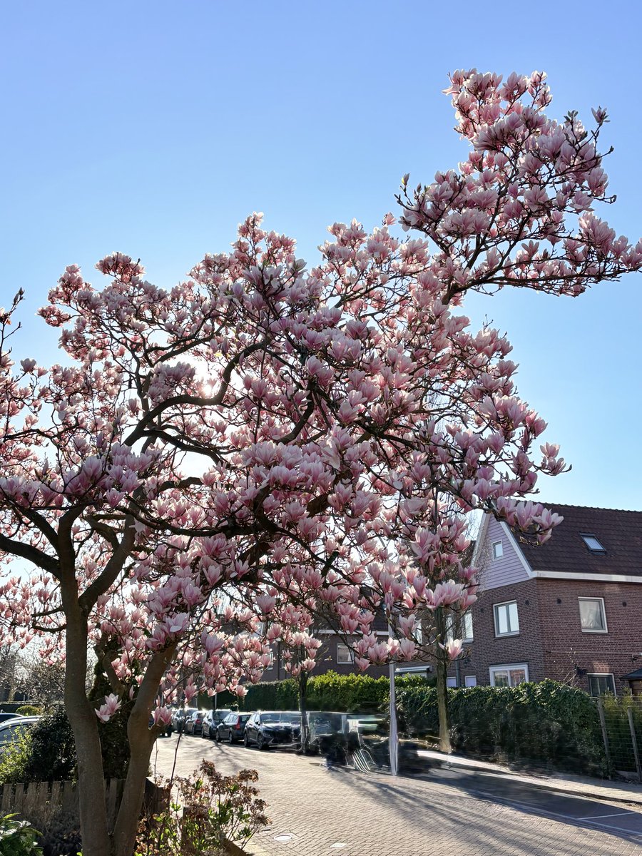 𝕊andra☀️ tweet media