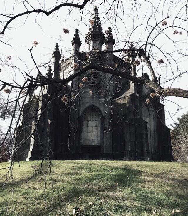 𖥔 ࣪˖ 𝓓𝓪𝔂𝓼𝓲 ⏾*:･ tweet media