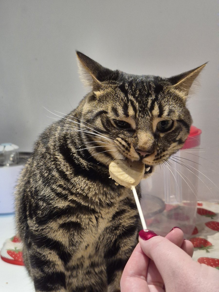 Sie ➡️ Laval ComicCon Apr 25-26 tweet media