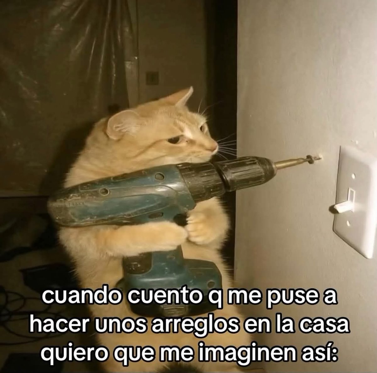 Cap Briagowsky tweet media