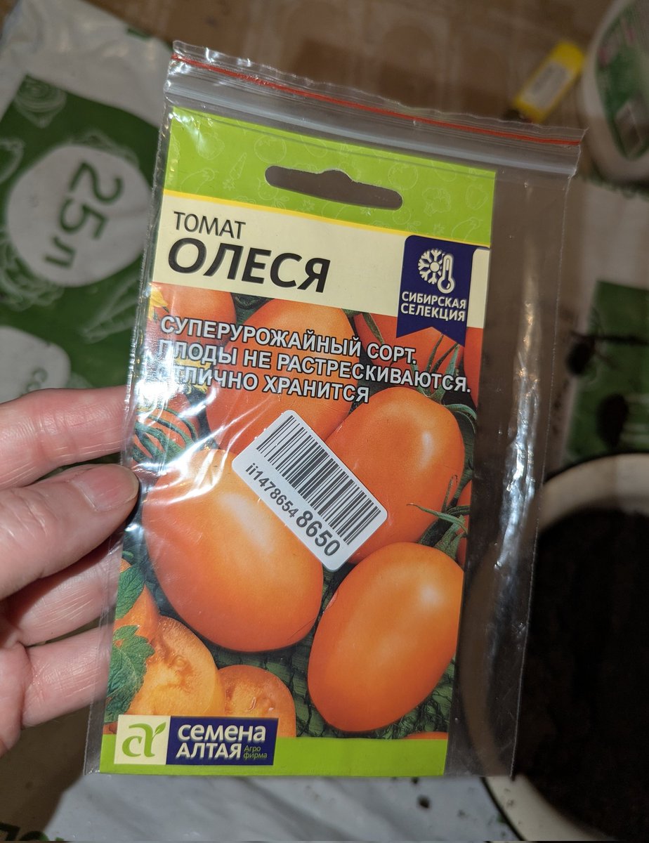Леся Бигуди tweet media
