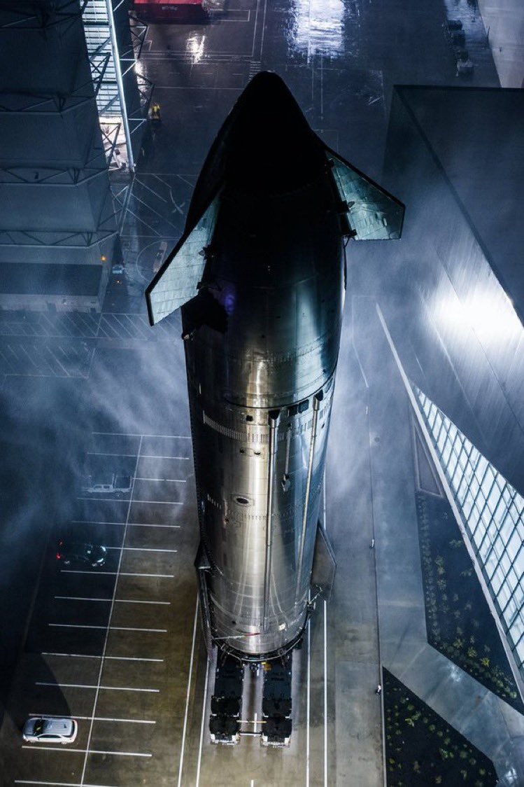 LoreleiAH tweet media