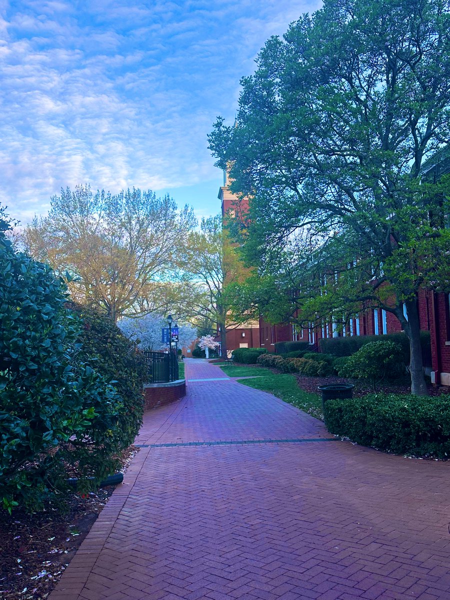 GA College Counseling tweet media