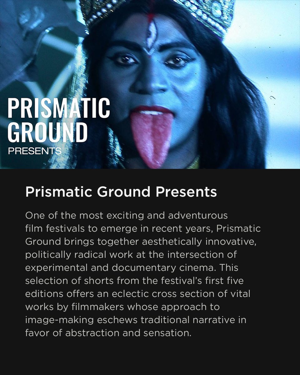 Criterion Collection tweet media