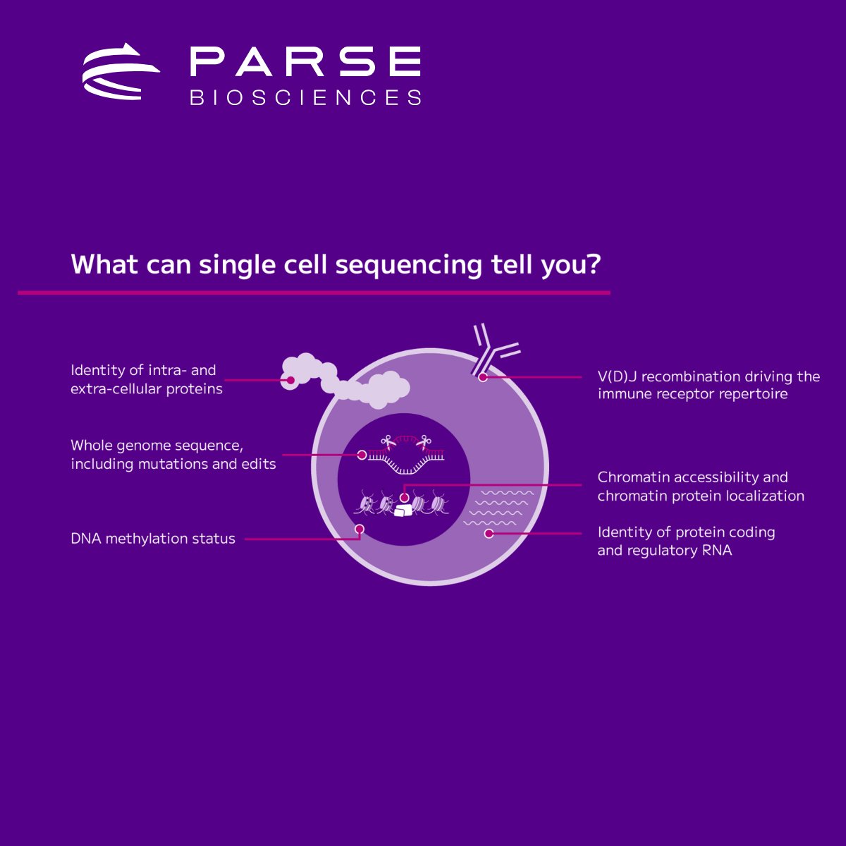 Parse Biosciences tweet media