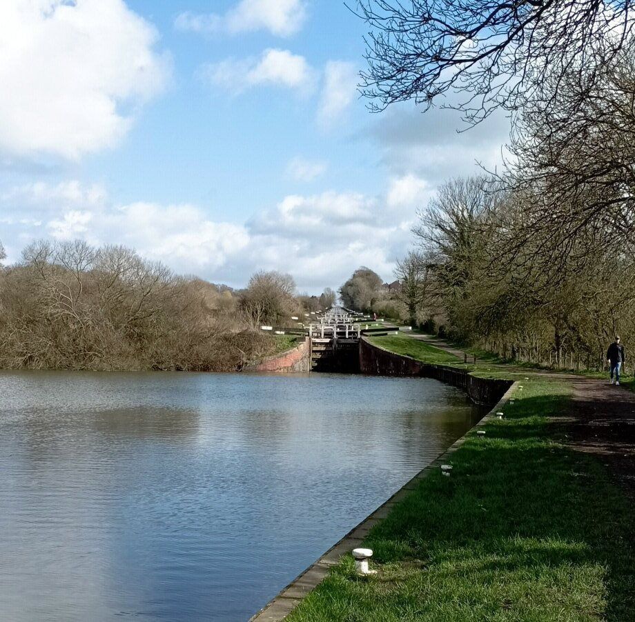 Neil Pellinacci tweet media