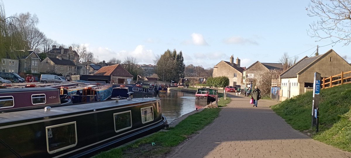 Neil Pellinacci tweet media