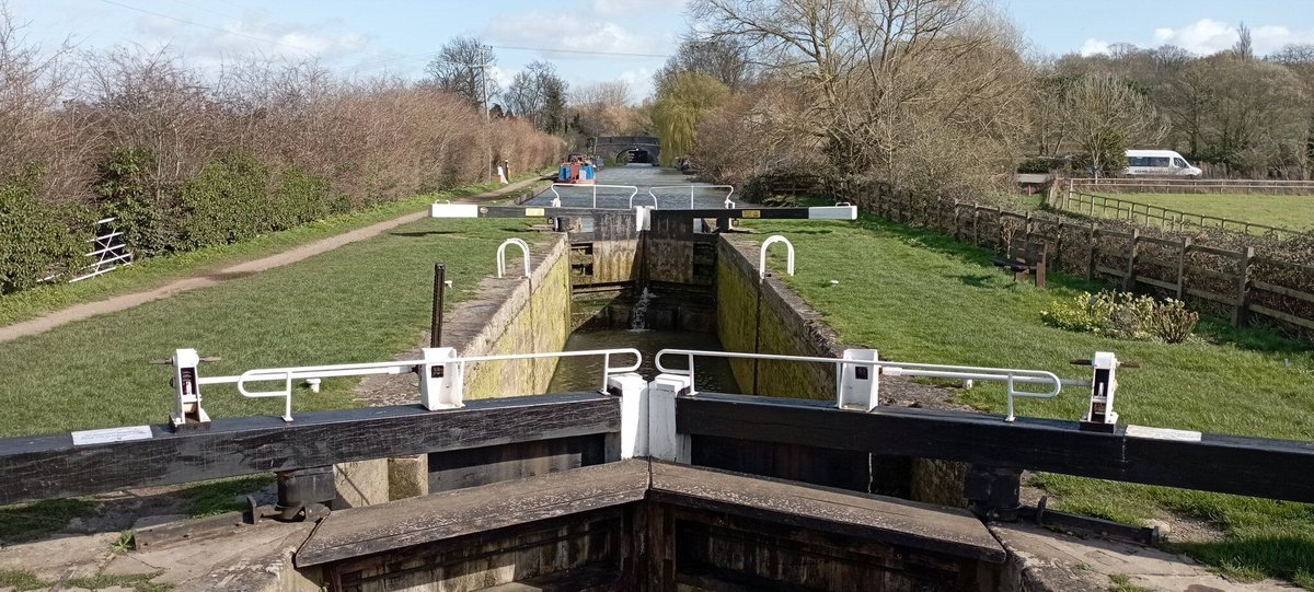 Neil Pellinacci tweet media