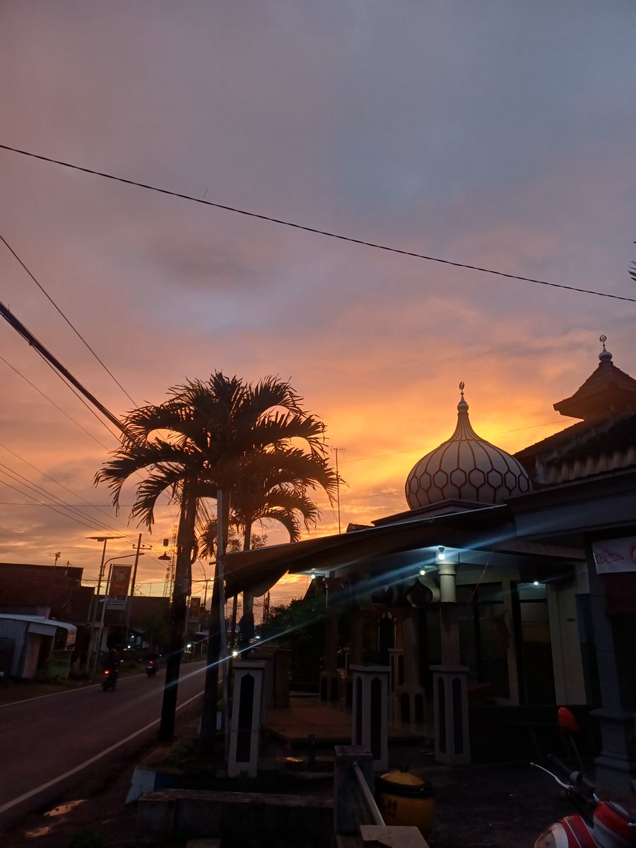 butterfliesxef tweet media