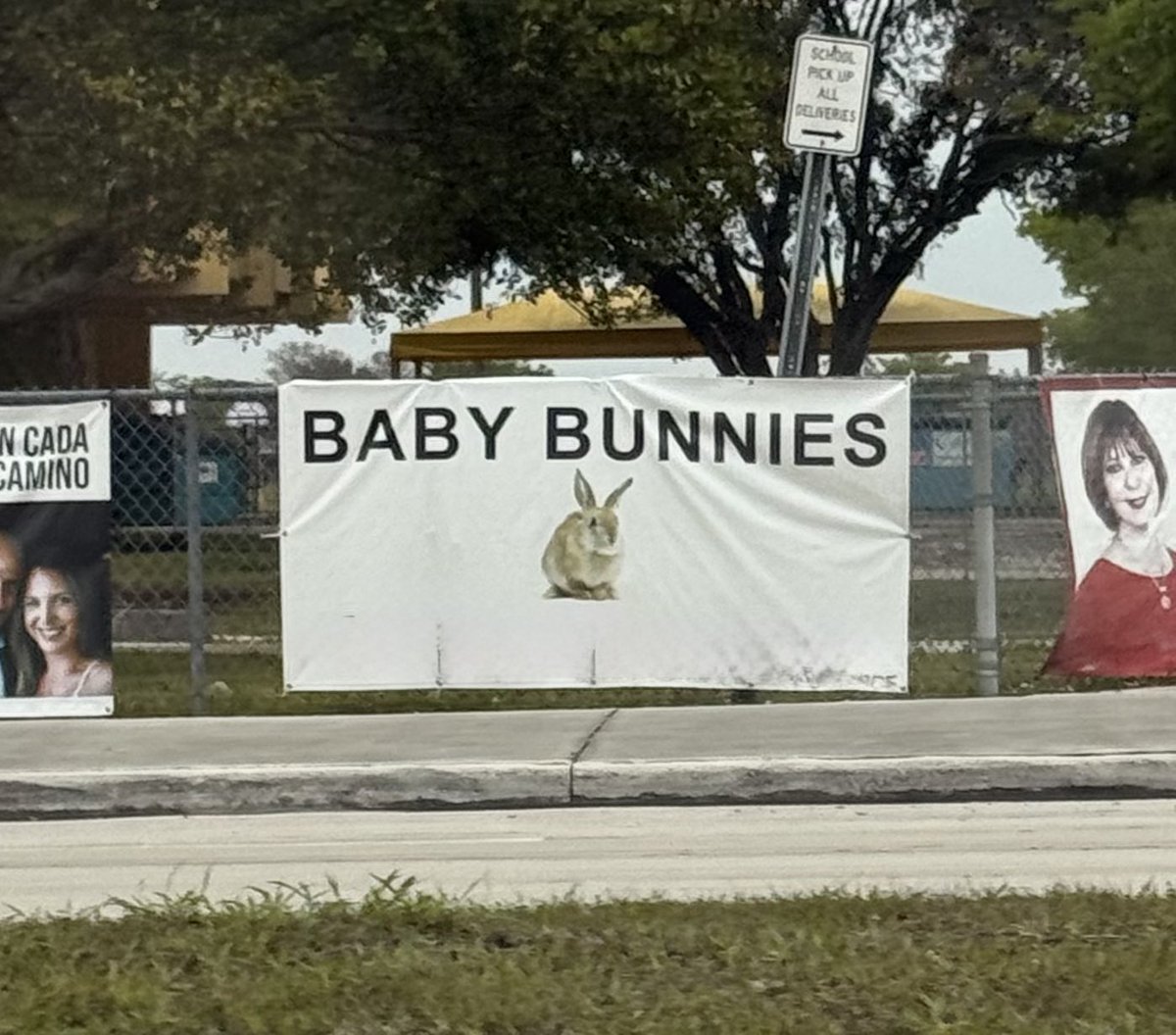 cav empty tweet media