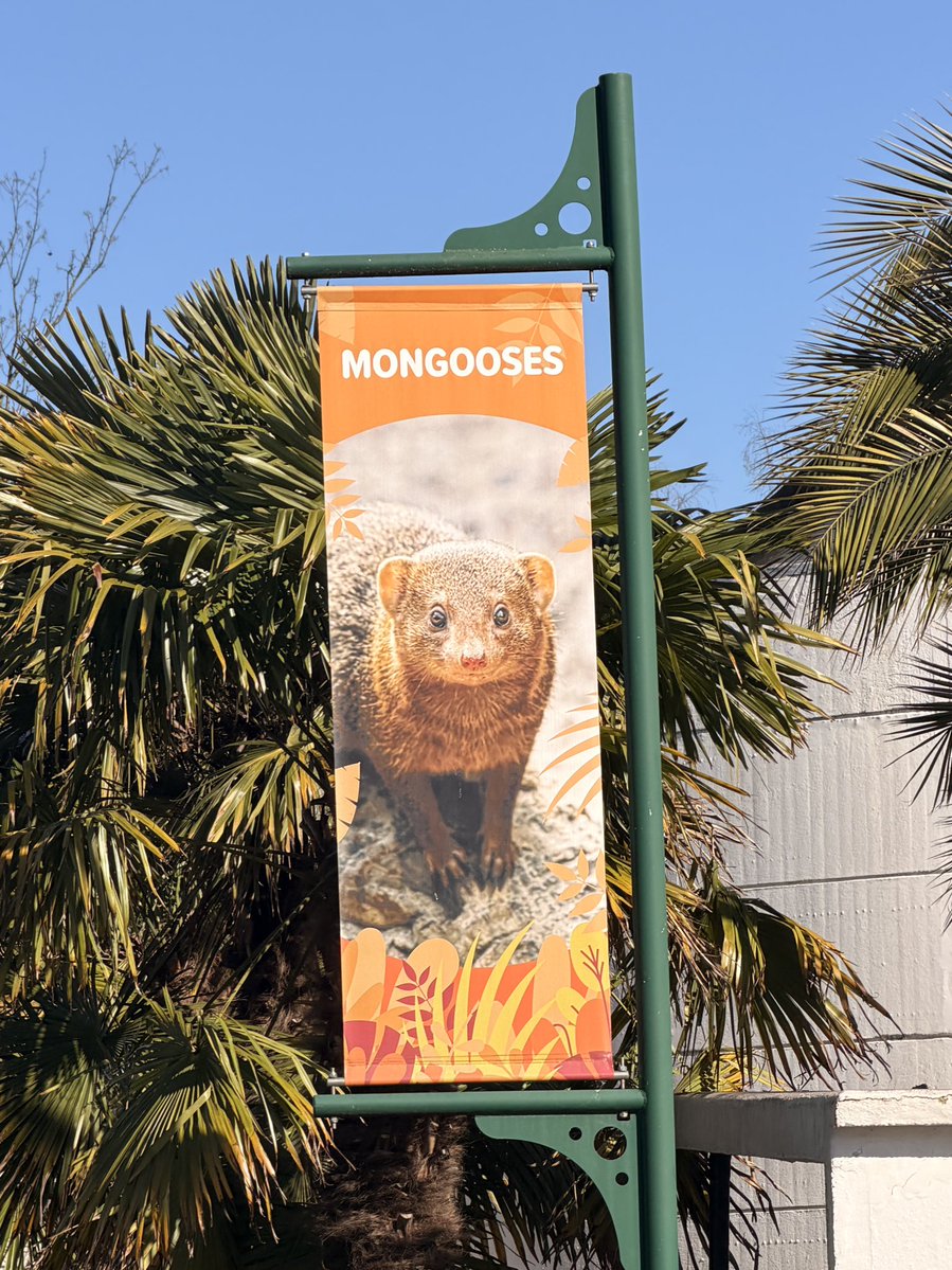 rina❣️ tweet media