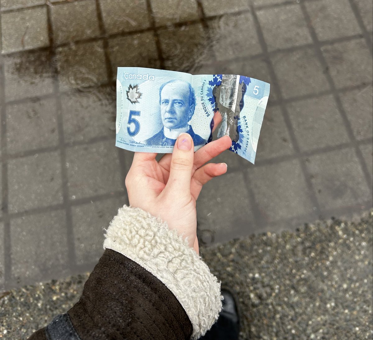 single serving tilly Ⴟ tweet media