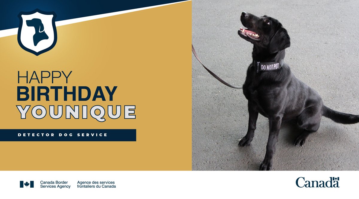 Border Services SOR tweet media