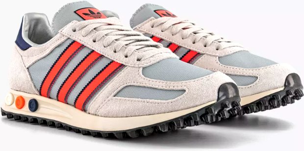 Clive Beee🐝 tweet media