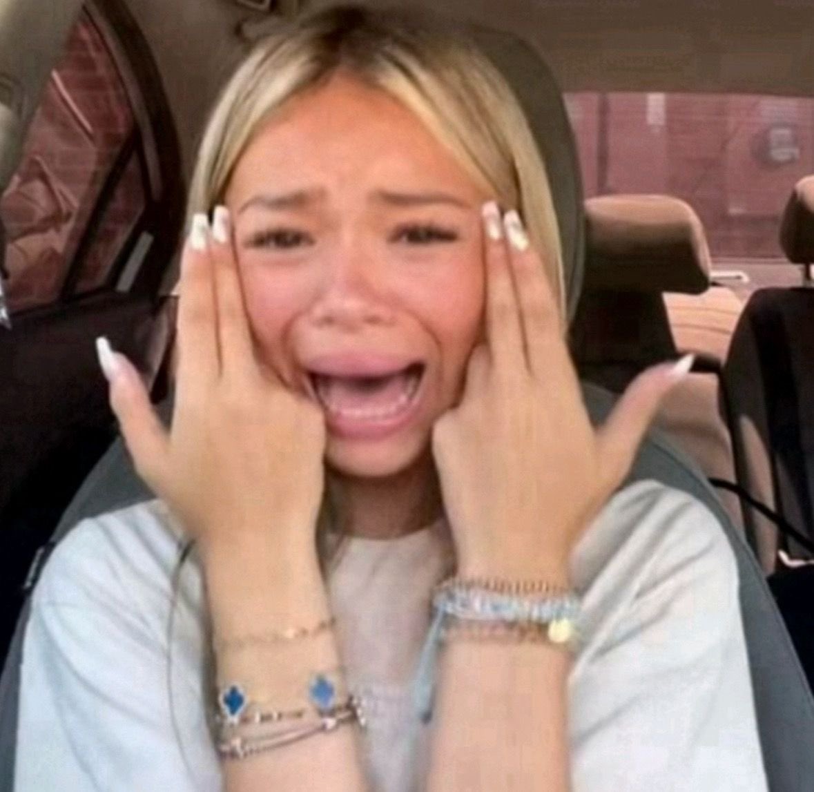 just_anamoeba(on hiatus) tweet media