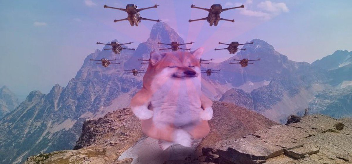 ChrisCleas tweet media