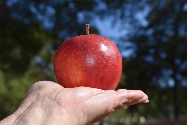 Ashley Harris tweet media