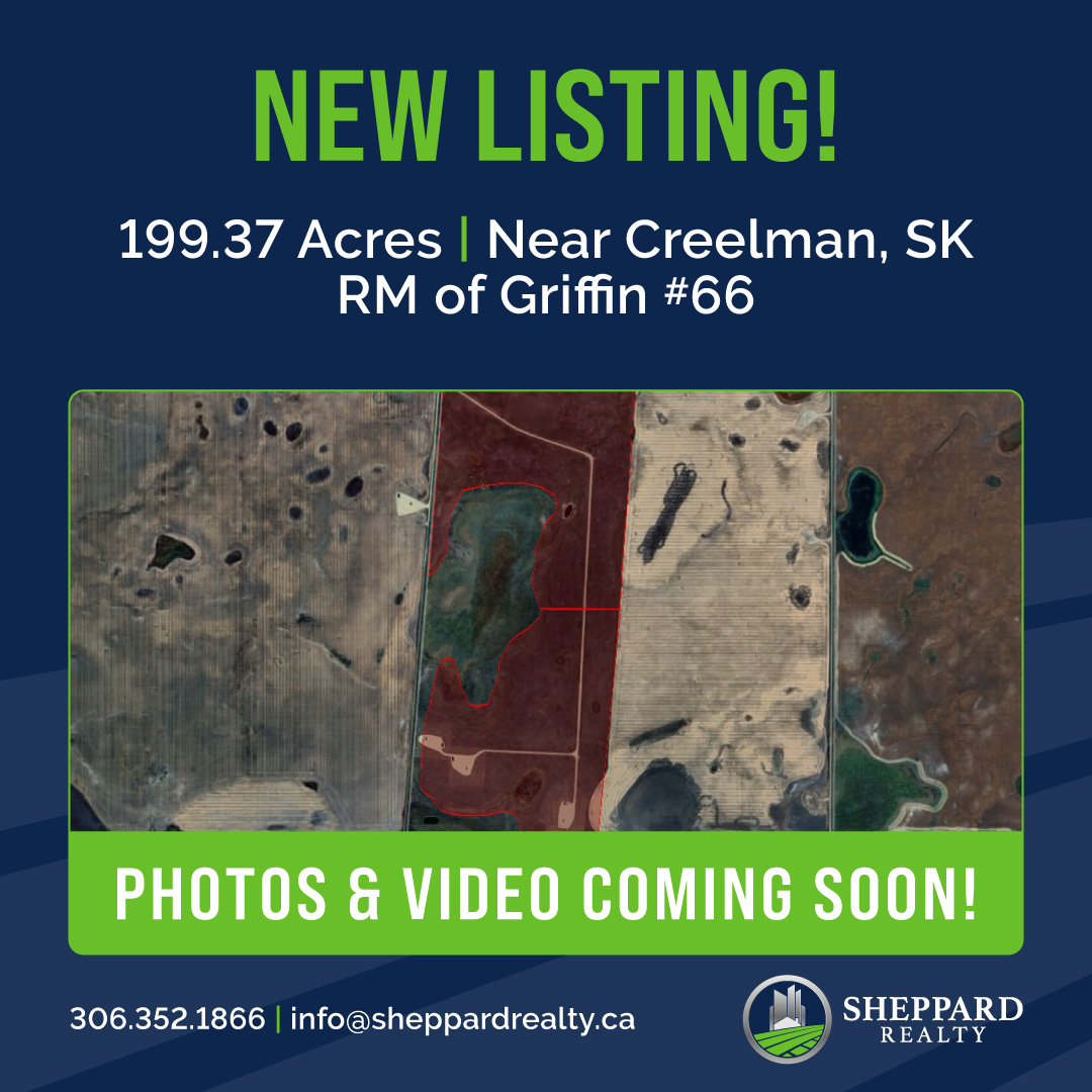 Sheppard Realty tweet media