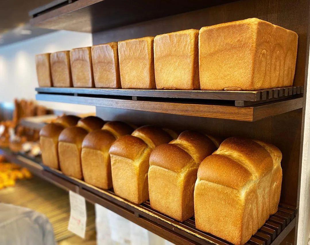 Hailey Jones 🍒 tweet media